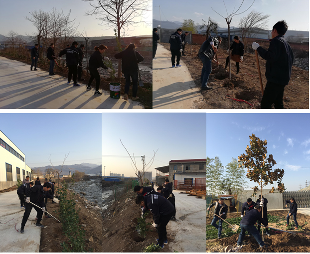 寶雞捷銳“迎春風，綠家園”植樹節(jié)(圖1)