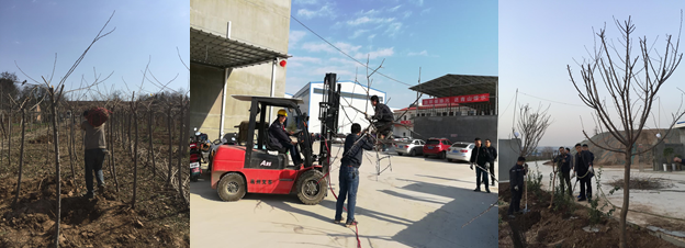 寶雞捷銳“迎春風，綠家園”植樹節(jié)(圖2)